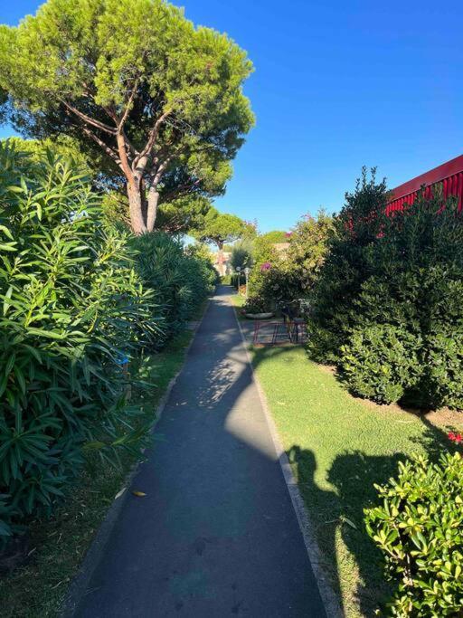 Ferienwohnung Casina Mare Bibbona Marina Di Bibbona Exterior foto